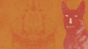 Predatori, libro Nazzi sui serial killer